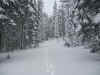 SnowShoePatrol 003.jpg (2220020 bytes)